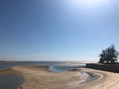 -北海金海湾红树林生态旅游区