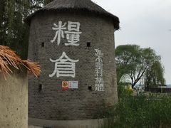 -白洋淀景区