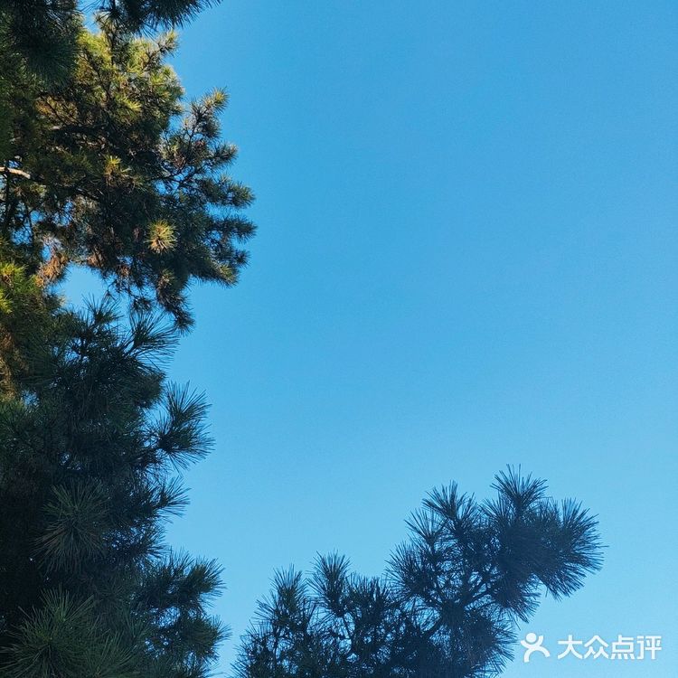 烈士公园原来可以这么美[亲亲]