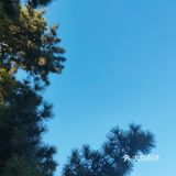 烈士公园原来可以这么美[亲亲]