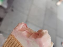 -詹爷爷乌节路街头冰淇淋