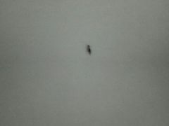 -如家酒店·neo(广州东山口地铁站中山一院店)