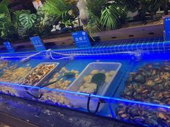 -鼎香缘海鲜自助火锅烤肉(锦辉购物广场店)