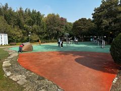 -澹台湖公园