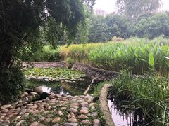 -成都市活水公园
