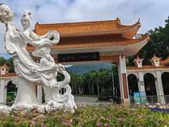 -深圳仙湖植物园