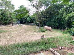 -深圳野生动物园