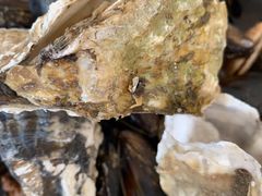 -宾朋海鲜美食特色餐厅·纯手工鲅鱼水饺(兴海路店)