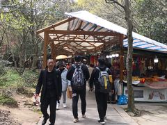 -普陀山风景区-佛顶山