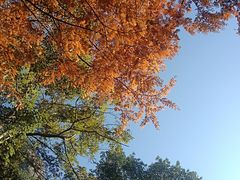 -江郎山风景名胜区