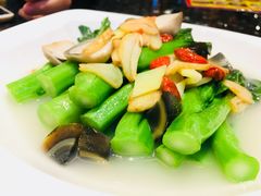 -新兴·金羊座·粤菜点心(乐峰店)