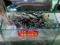 -干老四雅鱼饭店(滨江西路店)