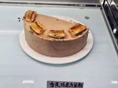 -猫里有甜