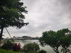 -顺德了能馆(虎门店)