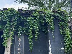 -绍兴鲁迅故里·沈园景区