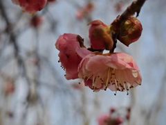-常德桃花源景区
