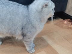 -悠米私人影院(街道口店)