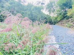 -灵溪风景区
