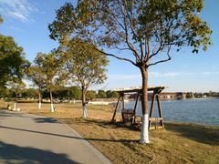 -上海都市菜园
