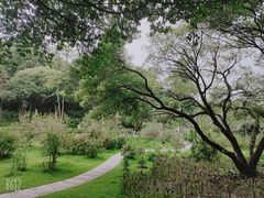 -云溪植物园