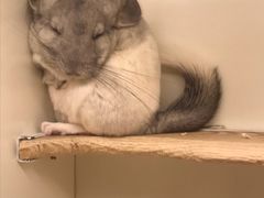 -龙猫仔乐园(惠福东路店)