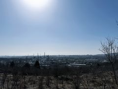 -白水寺森林公园