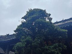 -宝光寺