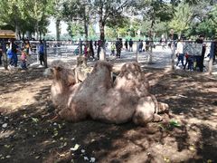 -长白岛森林公园