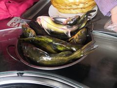 -姥家大锅台水库渔家