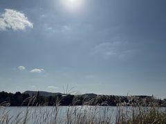 -羊山湖公园