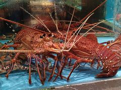 -阿伟海鲜楼·福建菜(延寿店)