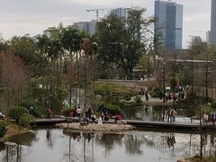 -云溪植物园
