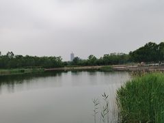 -永定河休闲森林公园