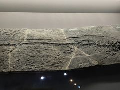 -天津自然博物馆