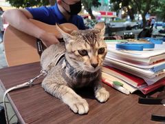 -旅程琴行吉他培训·吉他专卖