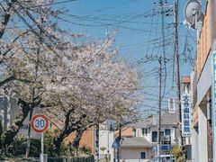 -灌篮高手动画打卡地