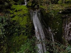 -鹿院坪生态旅游景区