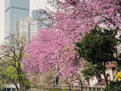 -柳侯公园
