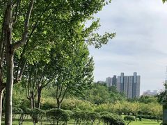 -郑东新区湿地公园