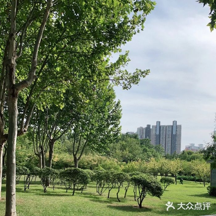郑东新区湿地公园图片