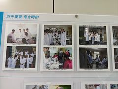 -北京观赏动物医院·24小时大型综合·猫专科·异宠专科