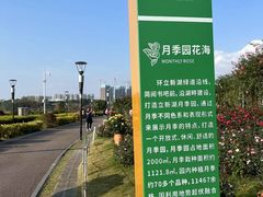-立新湖公园