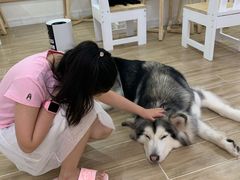 -李小姐の猫咖啡馆(五角场店)