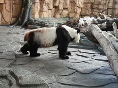 -泉州海丝野生动物世界