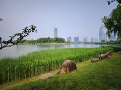 -桐乡凤凰湖