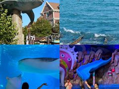 -烟台海昌鲸鲨海洋公园