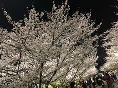-三好坞景观餐厅
