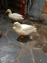 -Zoolung Zoolung动物主题公园(海信广场店)