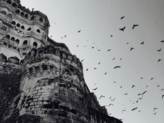 -圣廷苑酒店-世纪楼菲苑自助餐厅