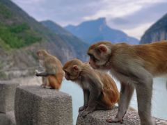 -白帝城·瞿塘峡景区